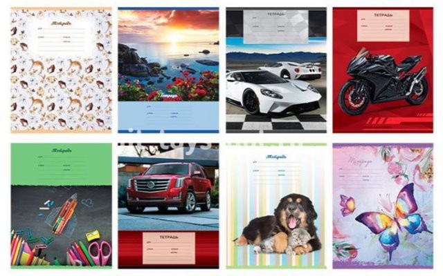 Тетрадь ЛИНИЯ 24л МИКС-9 10 дизайнов в ассорти