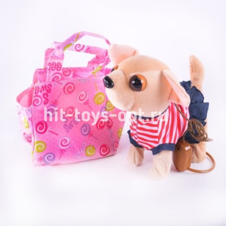 Чичи в сумке на поводке