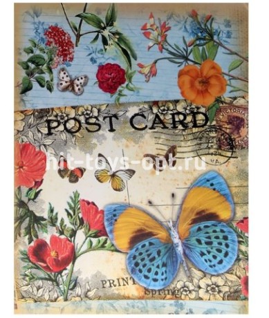 Тетрадь на кольцах 80л "Бабочка и открытка"