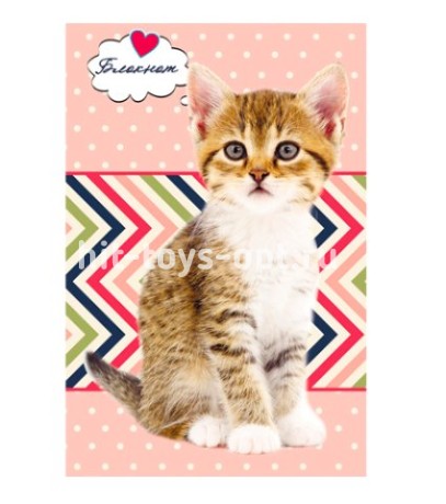 Блокнот А7 32л Котята на розовом фоне мелованная обложка ассорти