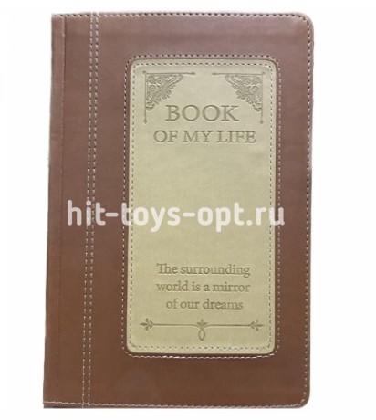 ЗАПИСНАЯ КНИГА А5 160л. МОДНЫЙ СТИЛЬ-9 (160-4194) кожзам, тиснение