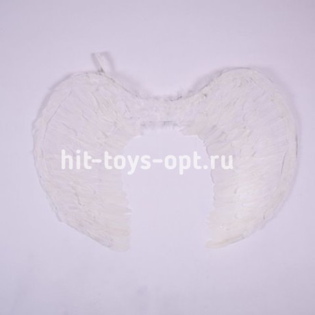 Крылья ангела (60*1*43)