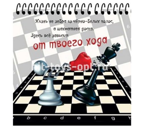Блокнот спир А6 40л Принт в ассорти