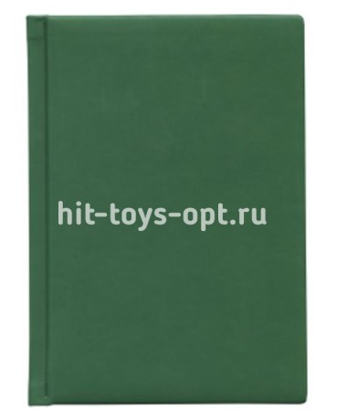 ЕЖЕДНЕВНИК А6, 160л. недатир. ГЛОСС зеленый, перепл.кожзам