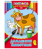 Раскраска А4 Р-2478 Домашние животные 4л