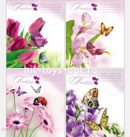 Тетрадь 24л линейка цв. обл "Совершенство цвета"