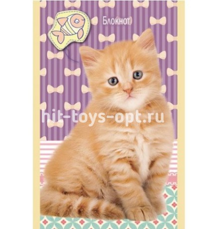 Блокнот А7 32л. КОТЯТА НА ЯРКОМ ФОНЕ на скрепке, ассорти