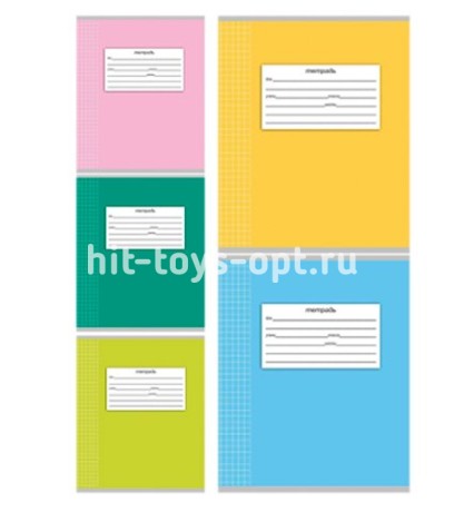 Тетрадь А5 24л " Проф-Пресс " линия Эконом Школьная классика, офсет, на скобе, обложка - мелованный