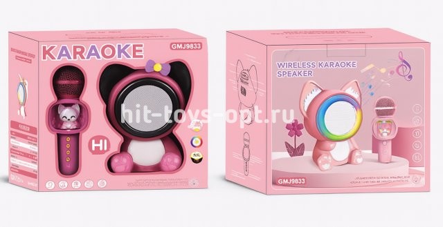 Караоке детское с микрофоном + свет 25*24