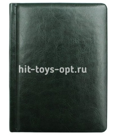 Ежедневник недатир.А6 160л.лин.CLZ 160-4218 ВИЛАДЖ зел.софт.обл.